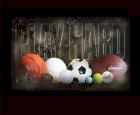 New! "Play Hard" All Sports Folders (Pkg. of 100)